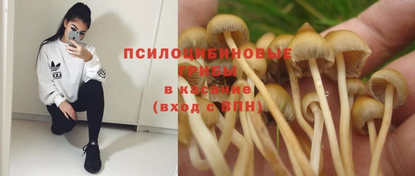 индика Карталы