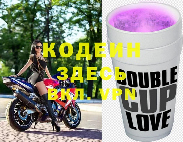 индика Карталы