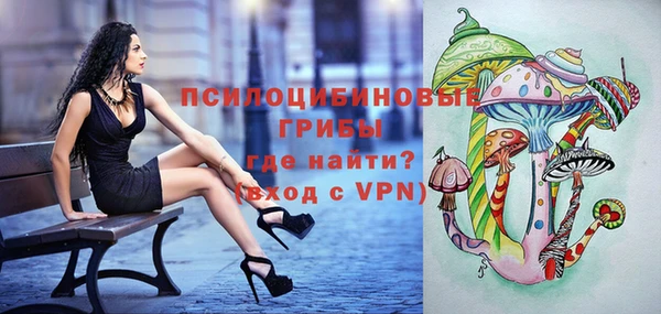 твердый Карпинск