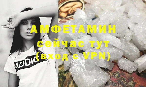 твердый Карпинск