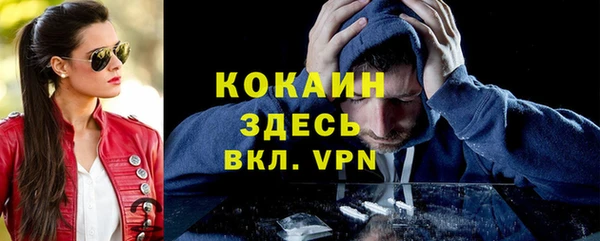 твердый Карпинск