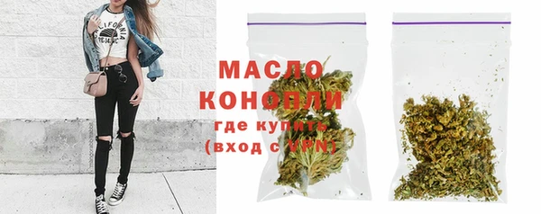 индика Карталы