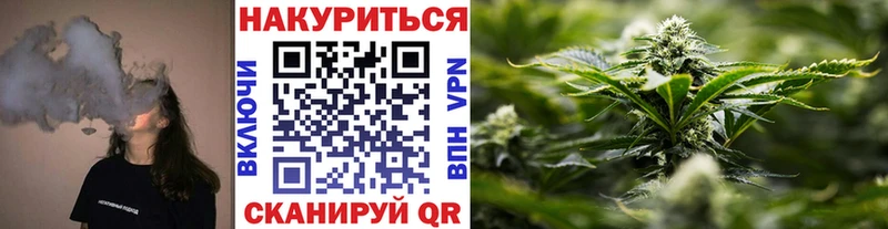 OMG ссылки  мориарти как зайти  МАРИХУАНА индика  Грозный 